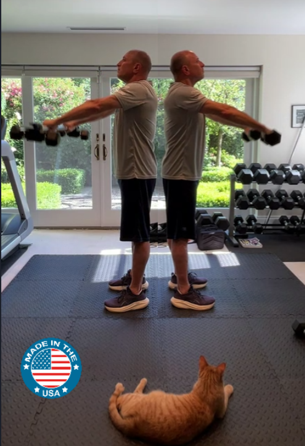 Dualbell: My Dumbbells Are Always Working