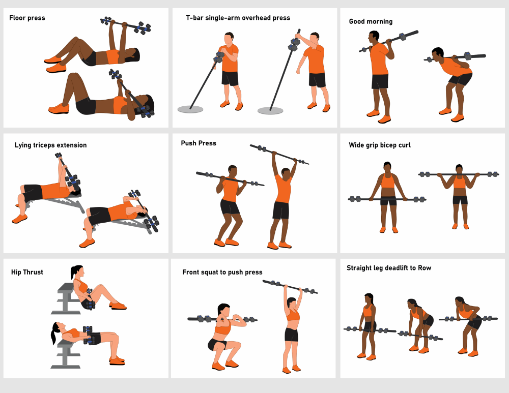 exercise examples dumbbells to barbells