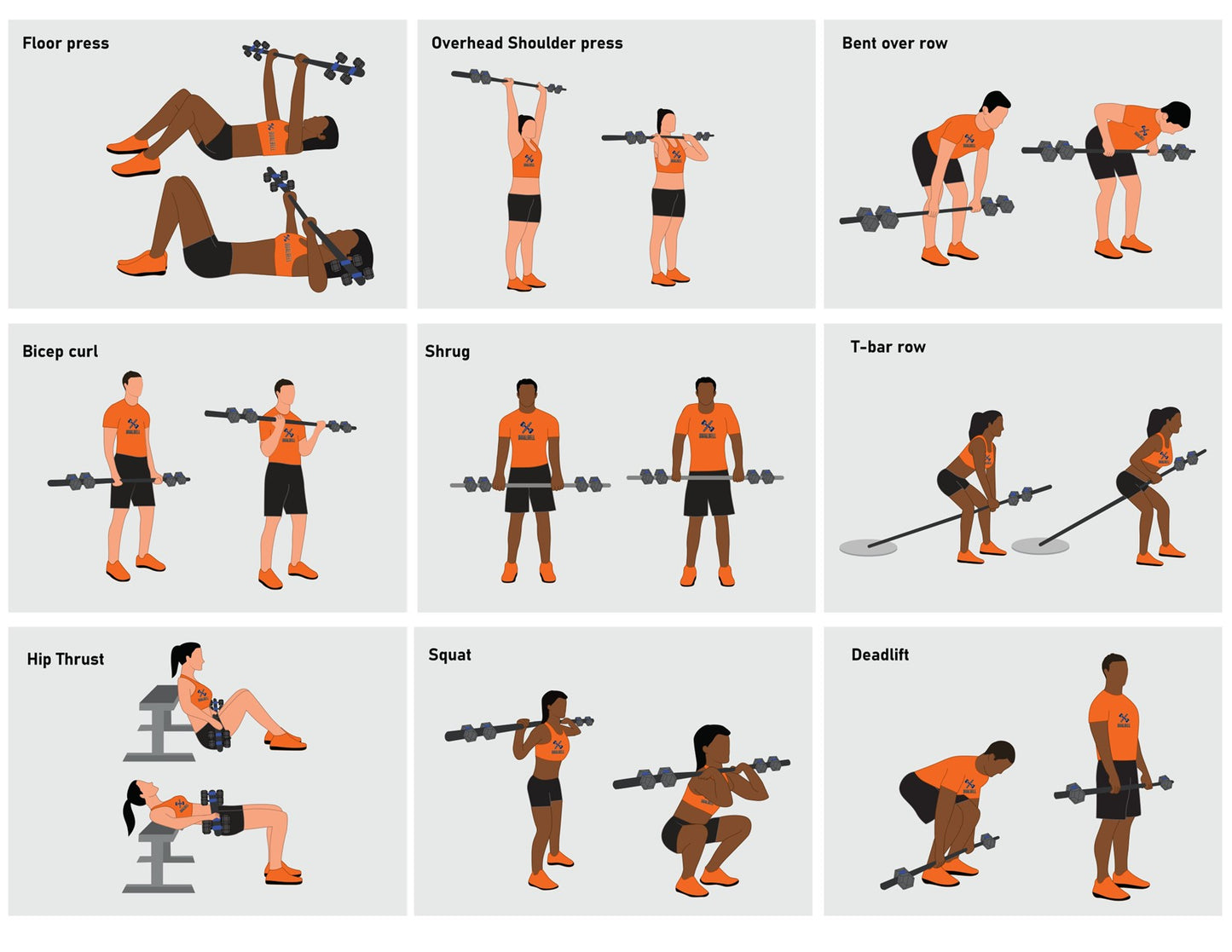 exercise samples dumbbells to barbells